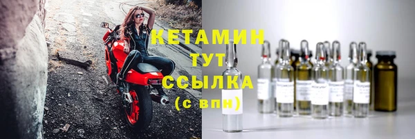 прущие грибы Дмитров