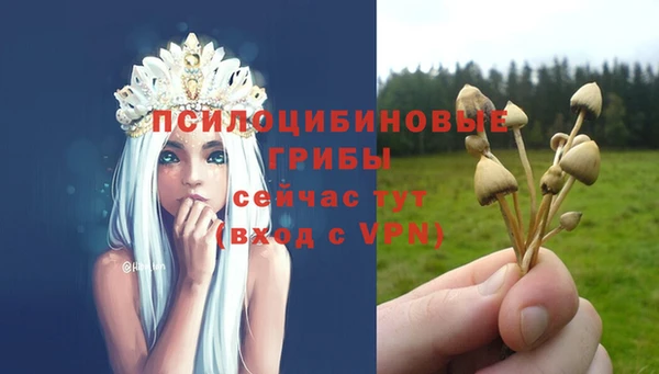 амфетамин Гусев