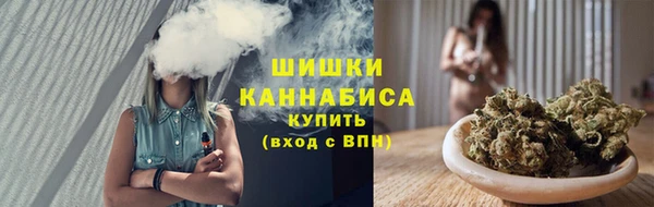 прущие грибы Дмитров