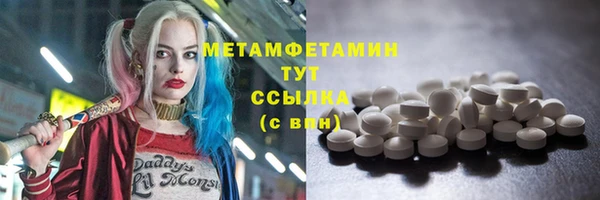 прущие грибы Дмитров