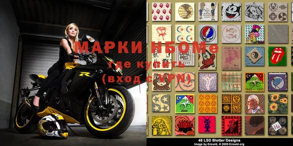 прущие грибы Дмитров