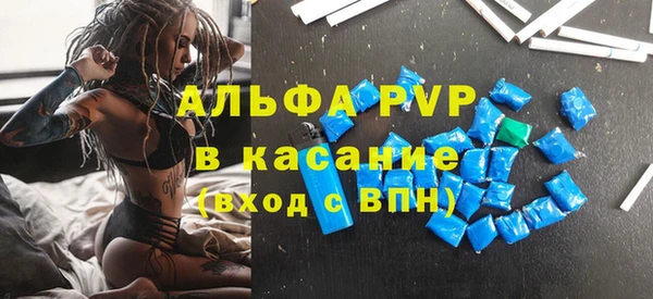 прущие грибы Дмитров
