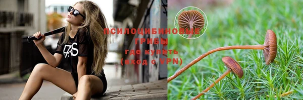 круглые Дмитриев