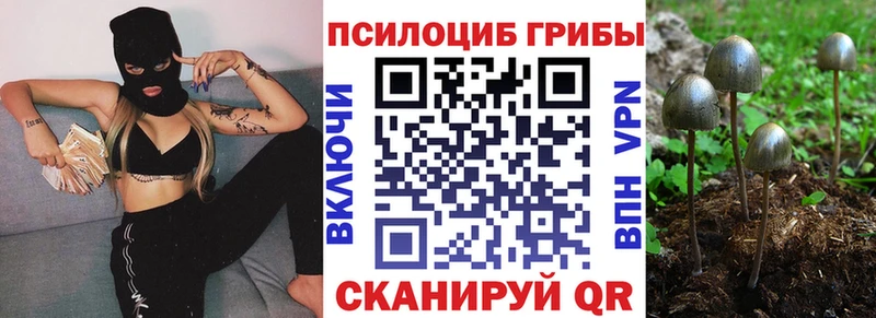 Псилоцибиновые грибы Psilocybine cubensis  Певек 